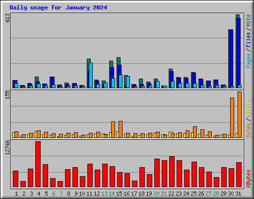 Daily usage for January 2024