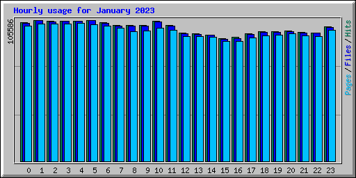 Hourly usage for January 2023