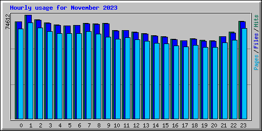 Hourly usage for November 2023