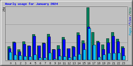 Hourly usage for January 2024