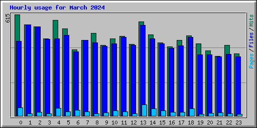 Hourly usage for March 2024