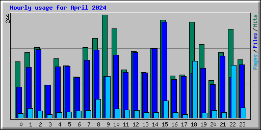 Hourly usage for April 2024