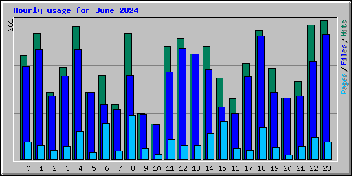 Hourly usage for June 2024