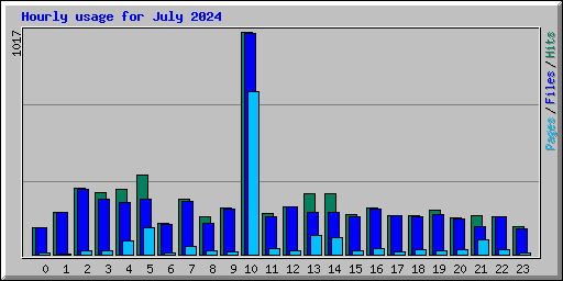 Hourly usage for July 2024