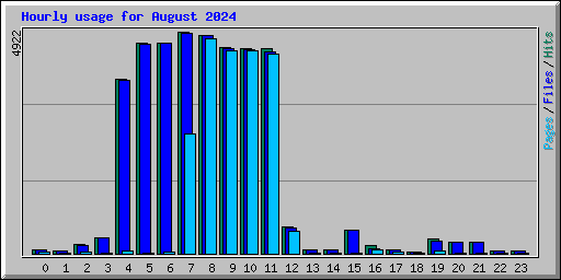 Hourly usage for August 2024