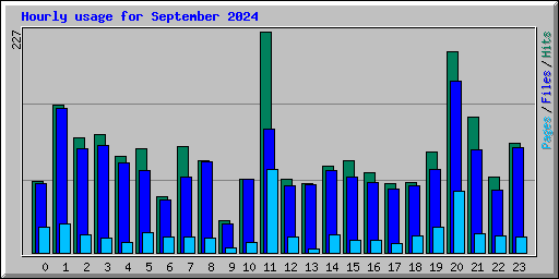 Hourly usage for September 2024