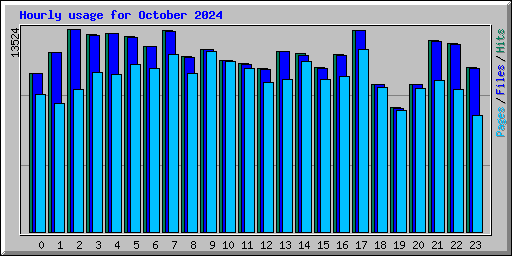 Hourly usage for October 2024