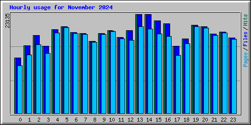 Hourly usage for November 2024